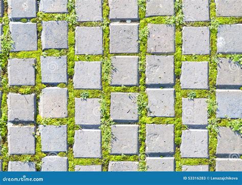 Paving Stone Style With Grass Seamless Pattern Stock Image Image Of