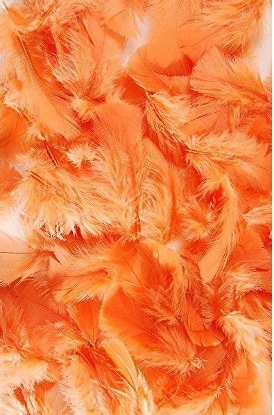 Its A Colorful Life Feathers Orange Orange Aesthetic Orange