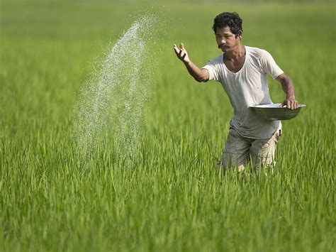 Indian Farmer Hd Wallpaper Pxfuel