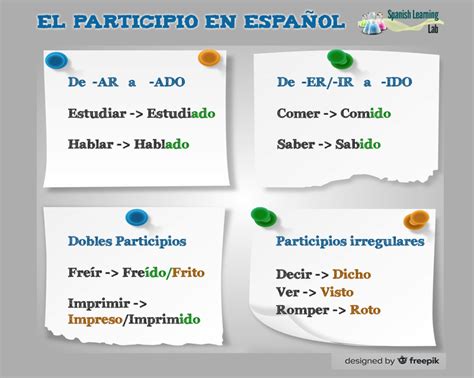 Cómo Formar El Participio En Español Ejemplos Y Ejercicios Spanish