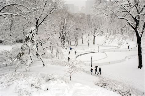 New York Citys Central Park Covered In Snow