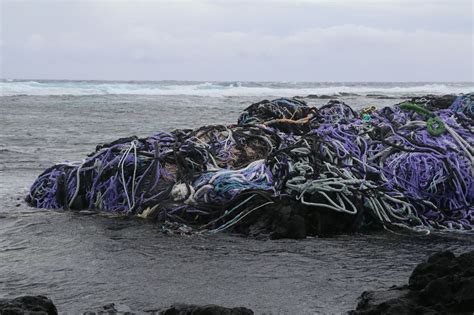Report Marine Debris On New State Hotline Big Island Now