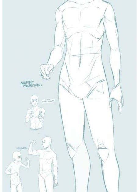 Male Full Body Anatomy Drawing Reference Canvas Ly