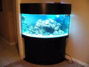 100 gallon fish tank bow front 100 Gallon Bow Front Glass Aquarium 
