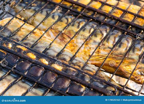 Bonfire Mackerel Fish Stock Photo Image Of Bonfire 178535162