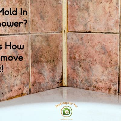 Black mold is a frequent shower guest. Mold Prevention