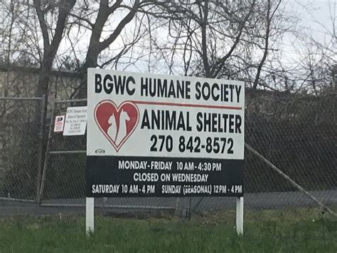 Humane Society Animal Shelter In Bowling Green Humane Society Animal