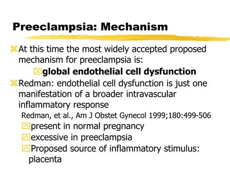 PPT Preeclampsia And Eclampsia Anesthetic Management PowerPoint