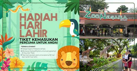 The gentle giraffe of zoo negara malaysia. Tawaran Tiket Masuk Zoo Negara Percuma Selama 30 Hari Dari ...