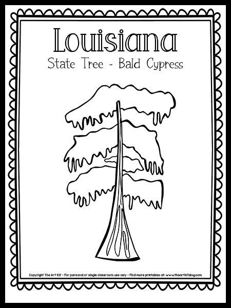 Louisiana State Tree Coloring Page Bald Cypress Free Printable