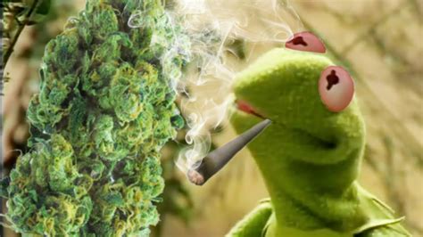 Kermit The Frogs 420 Song Its Real Easy Smoking Green Youtube