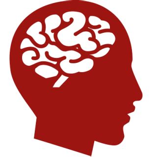 Brain Icon Transparent Brain Png Images Vector Freeiconspng