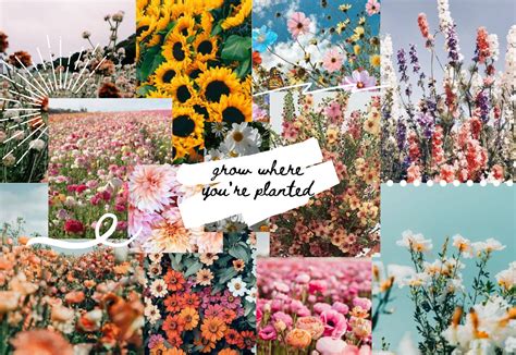 Download Spring Aesthetic Collage Wallpaper