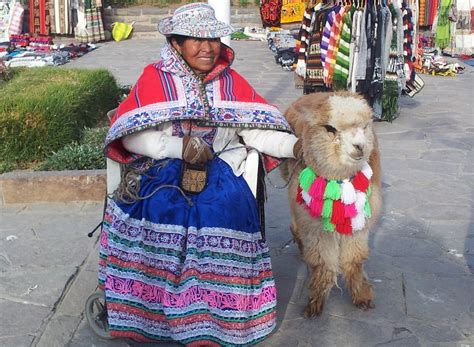 Fotos Gratis Gente Animal Niño Mercado Perú Alpaca Festival