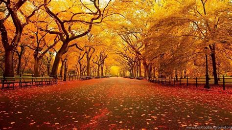 1366x768 Autumn Yellow Park Wallpapers Desktop Background