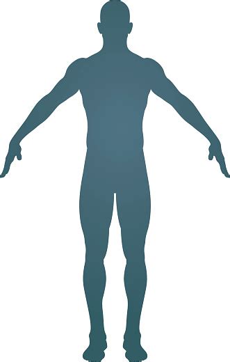 Human Body Silhouette Stock Illustration Download Image Now Istock