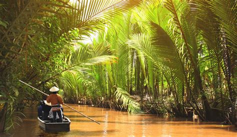 Where To Stay In The Mekong Delta 7 Best Boutique Hotels Rainforest