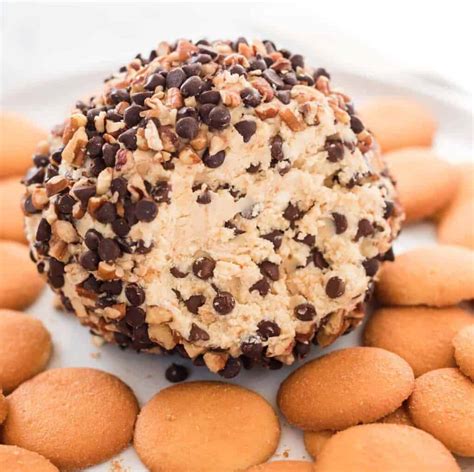Chocolate Chip Cheese Ball Recipe Build Your Bite
