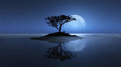 Lonely Tree Under The Moonlight Live Wallpaper Moewalls