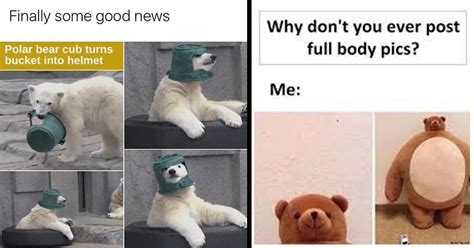 20 Unbearably Dumb Bear Memes That Bare It All Memebase Funny Memes