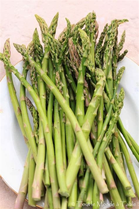 Asperges Vertes Temps De Cuisson