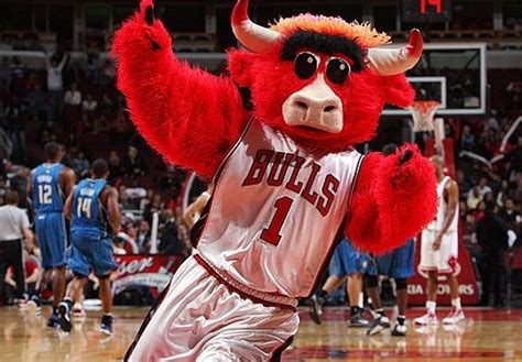Benny The Bull Chicago Bulls Mascot Maskottchen