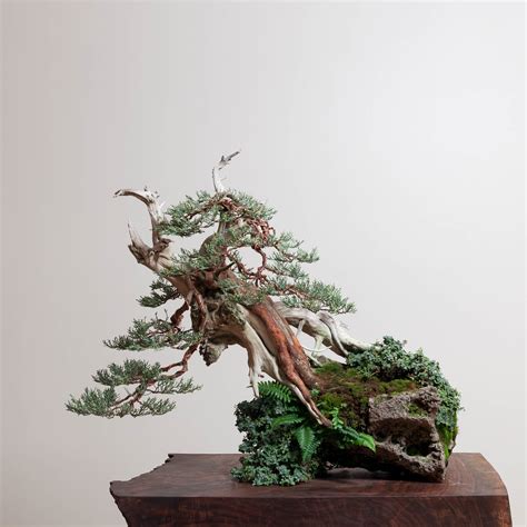 Bonsai, especially japanese bonsai, has spread throughout the world. The Art of Japanese Bonsai Trees | Craftsmanship Magazine
