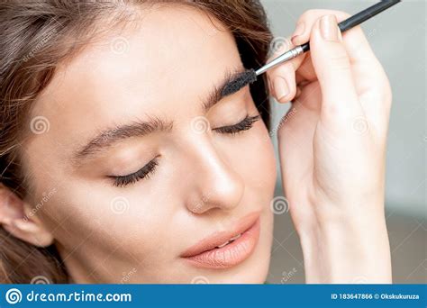 Makeup Artist Coming Eyebrows Of Young Woman Stock Photo Image Of