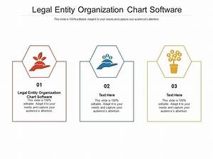  Entity Organization Chart Software Ppt Powerpoint Presentation