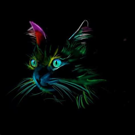 Lovely Neon Kitty😍💜 Our ️feature Of The Day ️ Is This Drawing
