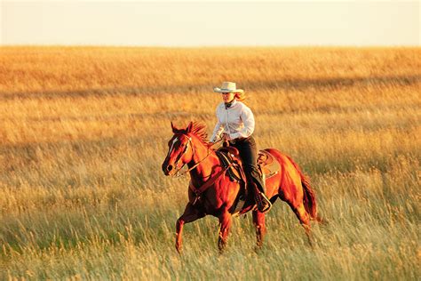 Agriculture Photography By Todd Klassy Photography Montana Blog 20 Photos Of Real Cowgirls