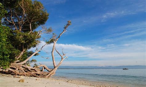 Maybe you would like to learn more about one of these? Tiket Masuk Pantai Bagoes : 5 Pantai Di Lampung Yang Wajib ...