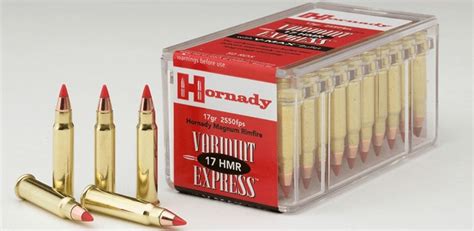 4 Best17 Hmr Rifle For Small And Accuracy Targets 2022