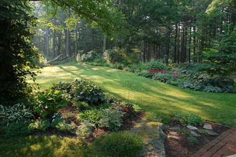 23 Landscape Ideas For A Wooded Backyard Decoratop Wooded Backyard