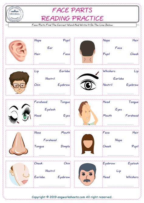 Face Parts Esl Printable English Vocabulary Worksheets