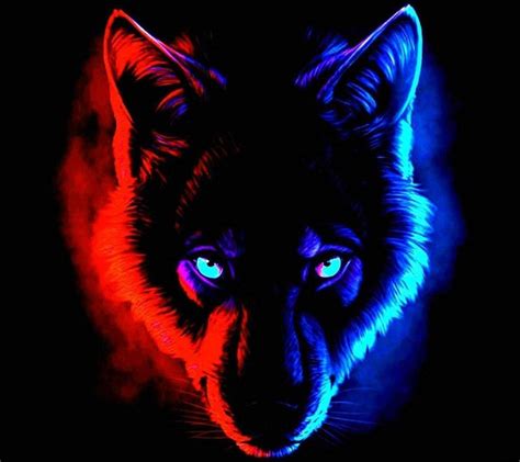 Evil Wolf Eyes Wallpapers Top Free Evil Wolf Eyes