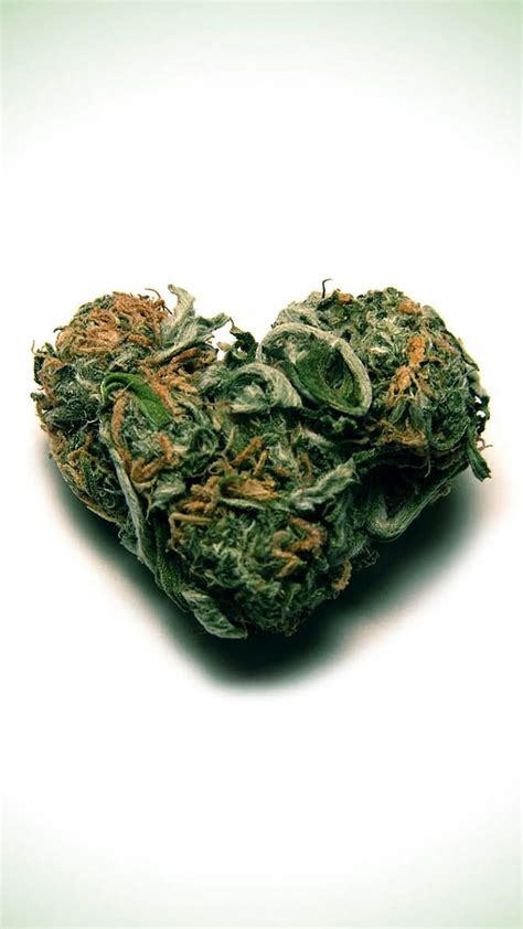 1920x1080px 1080p Free Download Wd Heart Buds Cannabis Dope