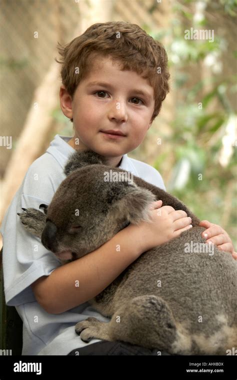 Young Boy Child Holding A Koala Bear In Lone Pine Koala Sanctuary