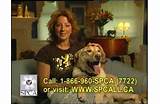 Aspca Sarah Mclachlan Commercial In The Arms Of An Angel Photos
