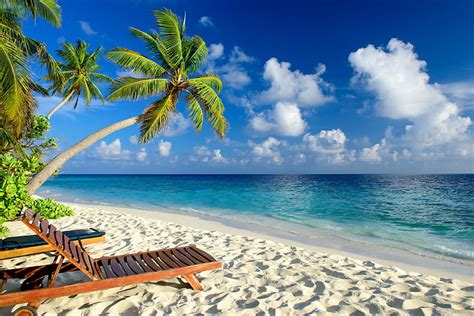 Tropical Beach Beach Chair Clouds Sky Sea Palmtrees Hd Wallpaper