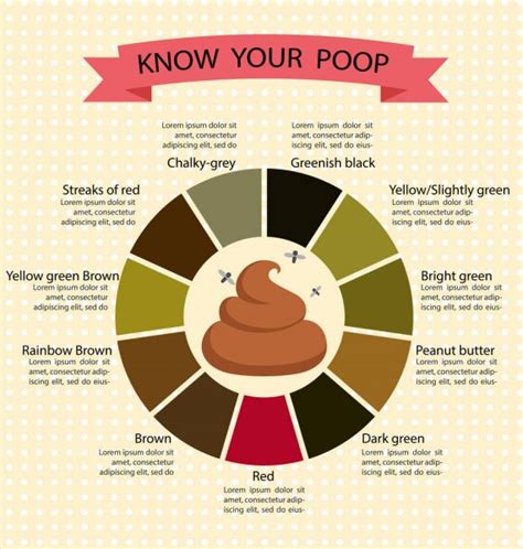 Poop Stool Color Changes Color Chart And Meaning Healthy Concep
