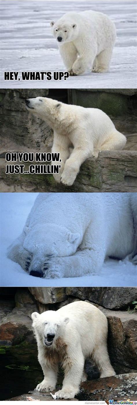 Polar Bear Jokes Rolledarmbenchx