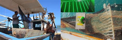 Brazil Sustainable Management Of Bycatch In Latin America And