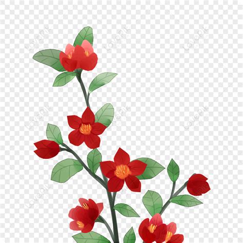 Raminho De Flores Png