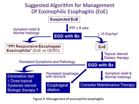 Eosinophilic Esophagitis The Clinical Advisor
