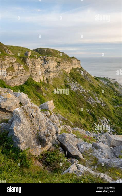 West Cliffs Hi Res Stock Photography And Images Alamy
