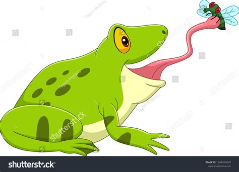 Cartoon Frog Catching Fly Stock Vector Royalty Free 1648424629