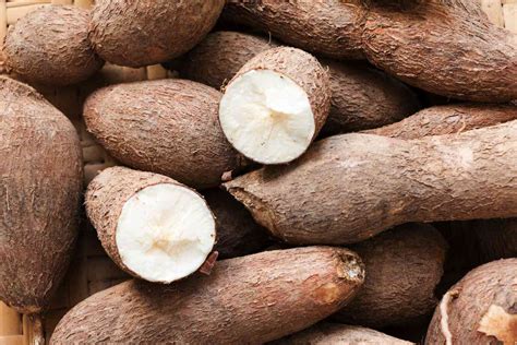 What Is Cassava Allrecipes
