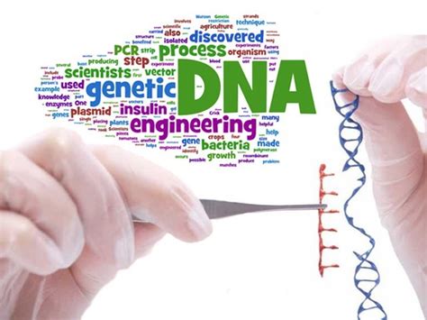 Genetic modification is a powerful tool: Genetic engineering - Unethical or welcomed? - The Express ...