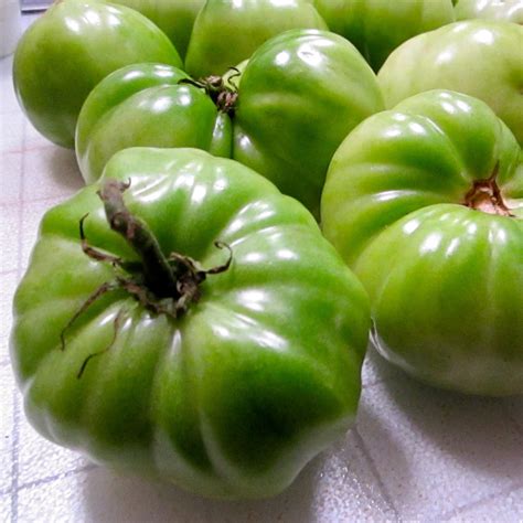 Where can you buy green tomatoes near me, fresh green tomatoes for sale near me, who sells green. My Kitchen and I: Green Tomato Salad -- gratitude for ...